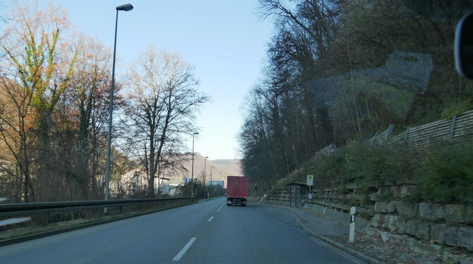Der Steilhang am Hochberg rechts von der Straße wird durch das große Gewicht der Bäume zunehmend in- stabil. Aus Verkehrssicheru