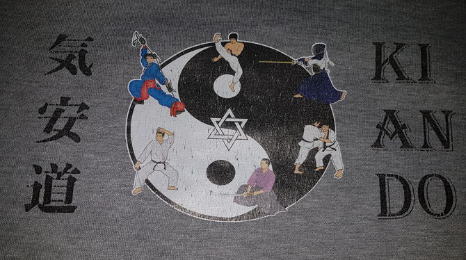 Kian-Do vereint Elemente verschiedener Kampfsportarten. FOTO: ZMS Kian-Do vereint Elemente verschiedener Kampfsportarten. FOTO: ZMS