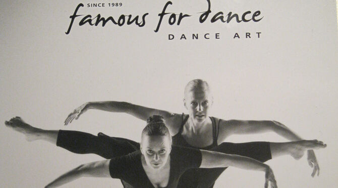 Flyer der Pfullinger Tansschule Dance Art.   FOTO: ZMS
