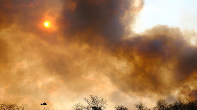 Waldbrand im Amazonas-Gebiet. FOTO: DPA