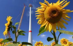 Windenergieanlage in Brandenburg
