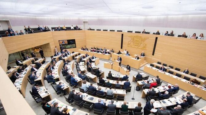 Abgeordnete sitzen im Stuttgarter Landtag