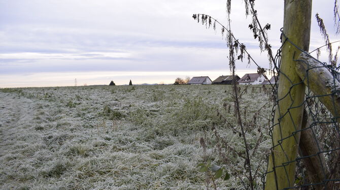Noch ist es eine  winterliche Ackerfläche am Ortsrand. Doch hier könnte Rübgartens  neuestes Wohngebiet entstehen.  FOTO: RITTGE