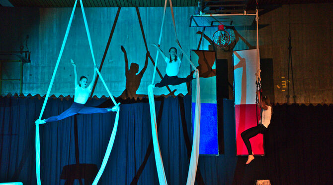 Elegant und und akrobatisch, dazu packende Musik: Die Einsteinflöhe begeisterten mit ihrem Auftritt die Zuschauer. FOTO: LEIPOLD