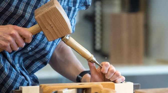 Rückkehr zur Meisterpflicht