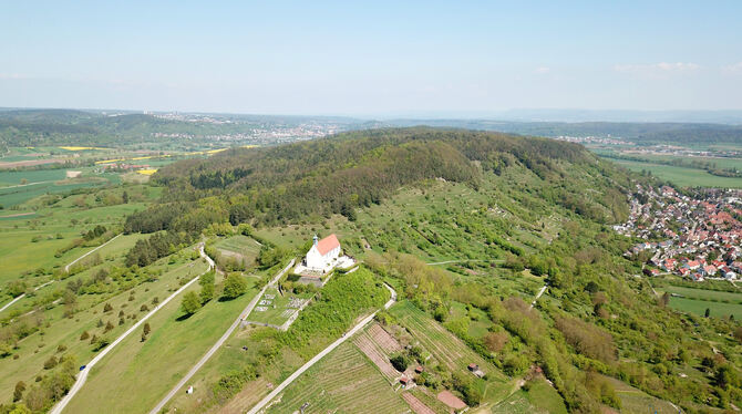 Mit einer Drohne hat Julia Gäßner den gesamten Spitzberg fotografiert. Der artenreiche Bergrücken mit der Wurmlinger Kapelle war