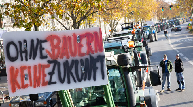 Deutschlandweit protestieren Bauern für bessere Bedingungen in ihrem Metier.  FOTO: DPA