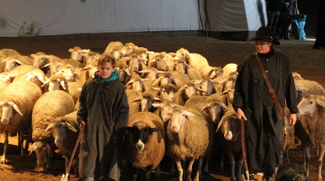 300 Mitwirkende, Schafe, Esel und Pferde zeigen bei den Krippenfestspielen im Haupt- und Landgestüt Marbach "Lebendige Bilder zu