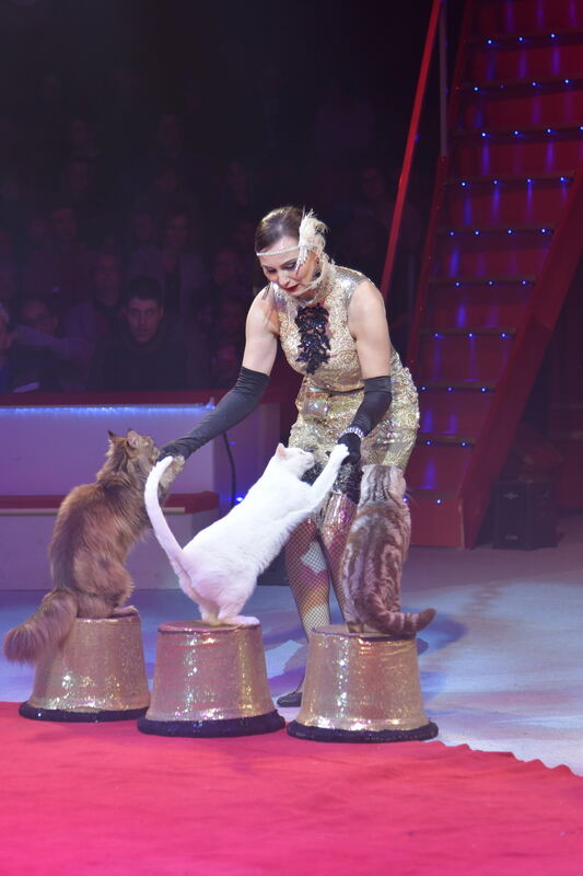 Weihnachtszirkus_RT_08