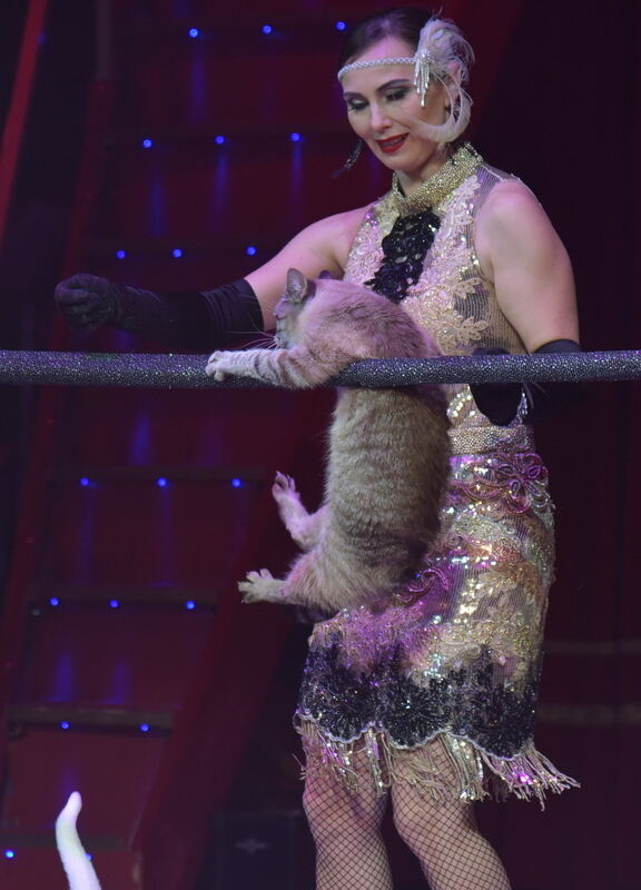 Weihnachtszirkus_RT_11