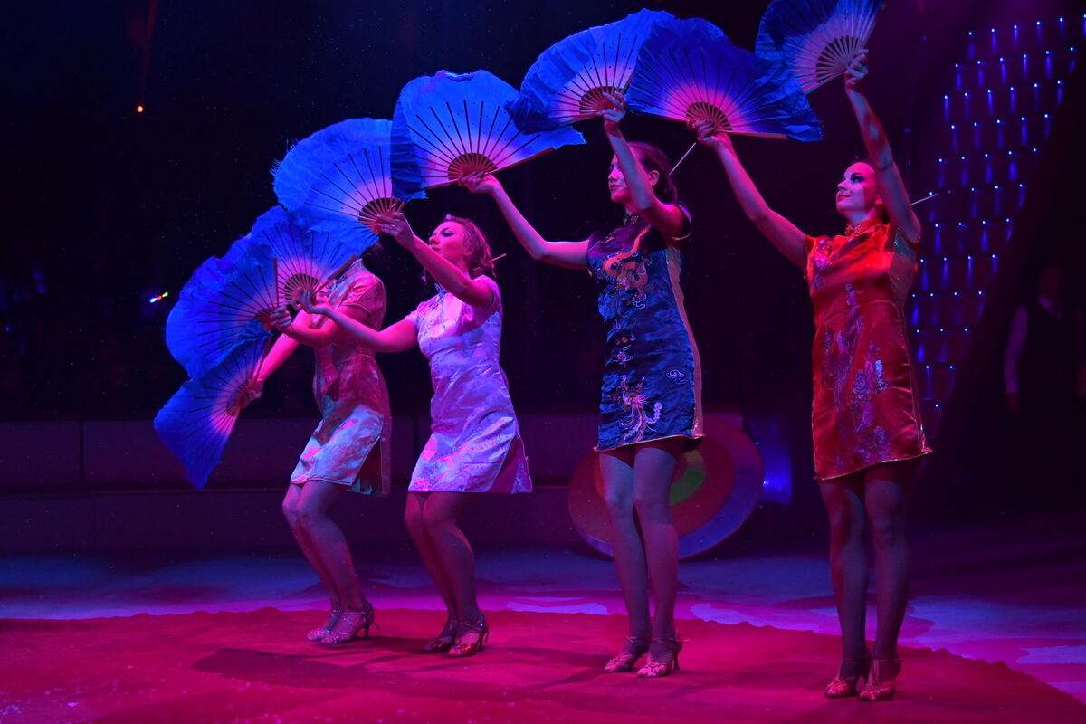 Weihnachtszirkus_RT_12