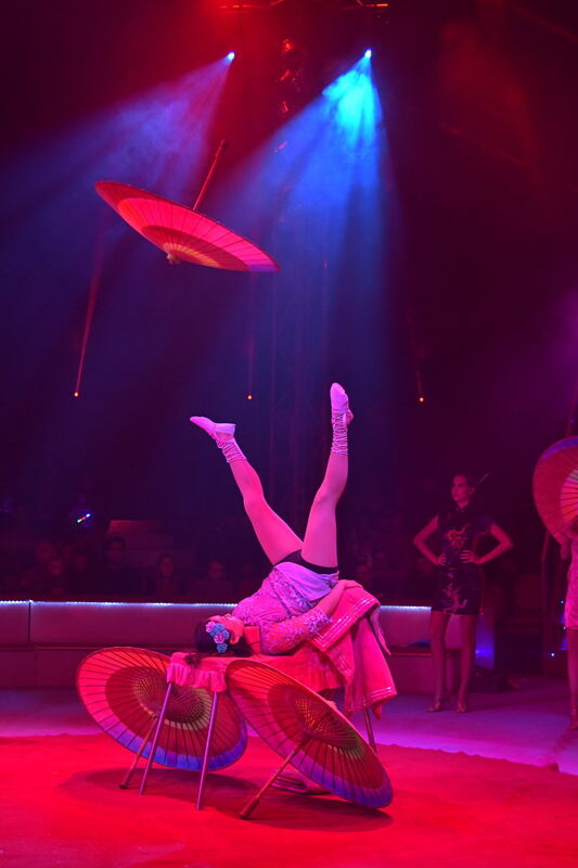 Weihnachtszirkus_RT_13