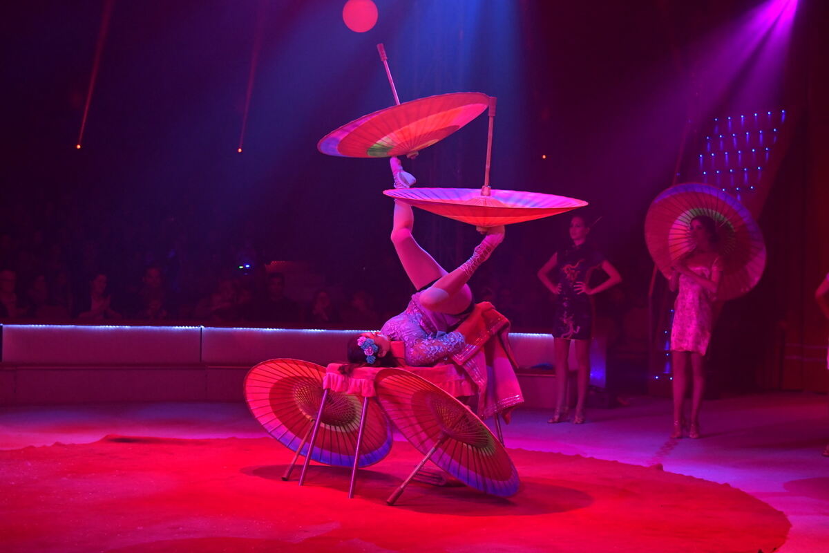 Weihnachtszirkus_RT_14