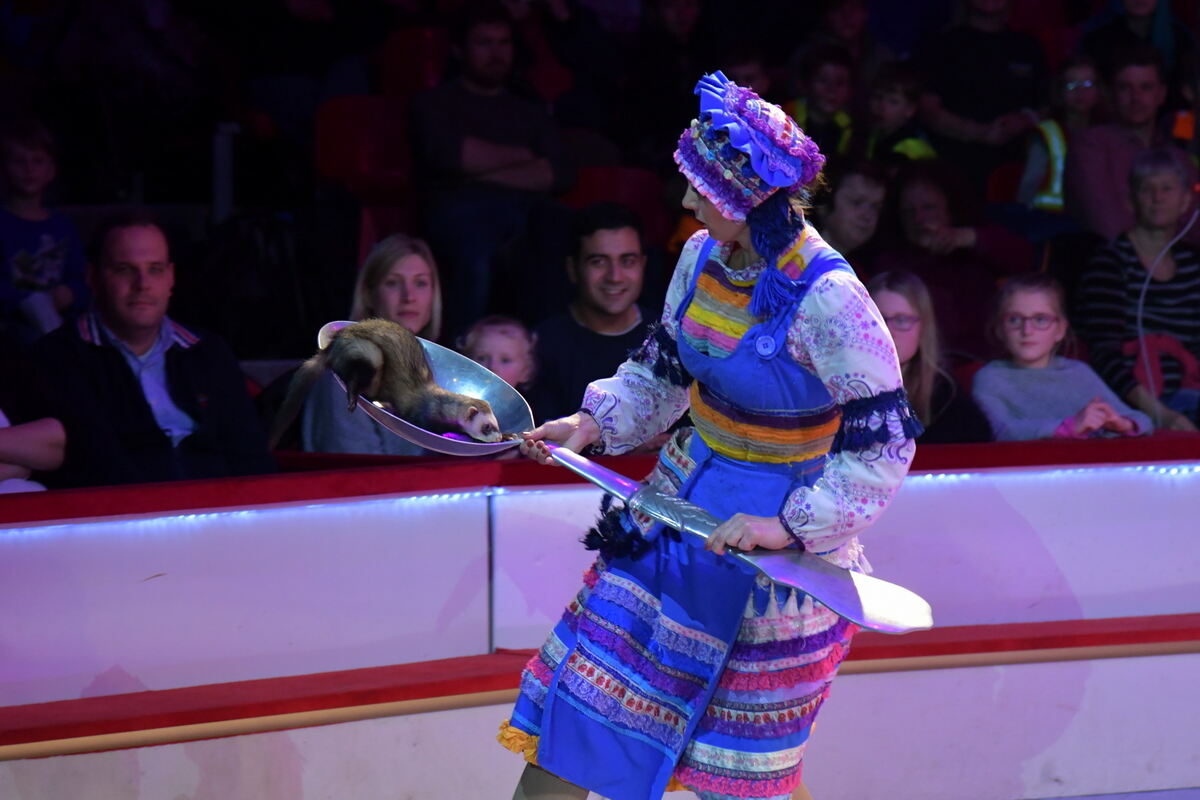 Weihnachtszirkus_RT_29