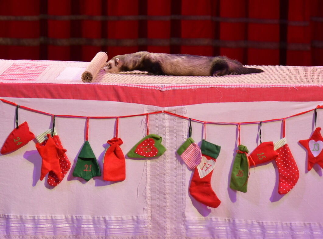 Weihnachtszirkus_RT_30