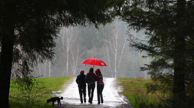 Spaziergänger gehen in einem Wald durch den Regen