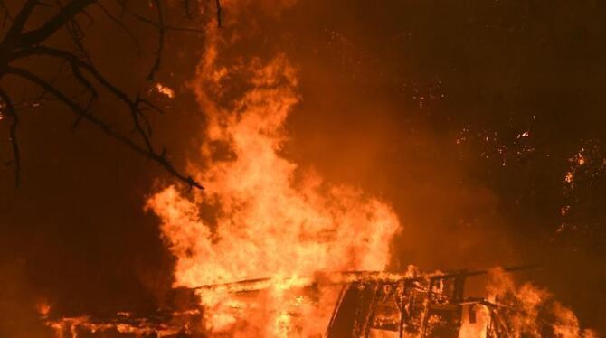 Buschbrände in Australien