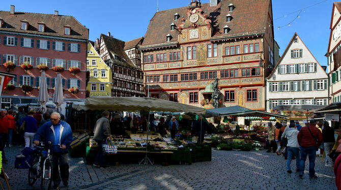 Der Tübinger Marktplatz.