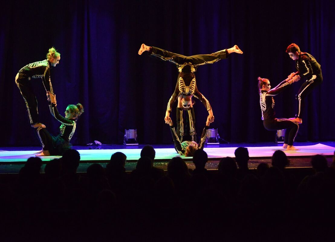 silvestervariete_franz_k_2019_niethammer_15