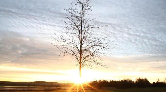 In Thüringen In Thüringen