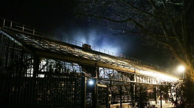 Brand im Krefelder Zoo Brand im Krefelder Zoo