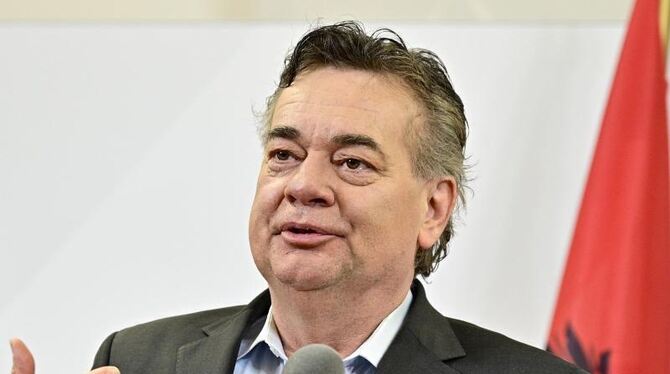 Österreichs Grünen-Chef Werner Kogler