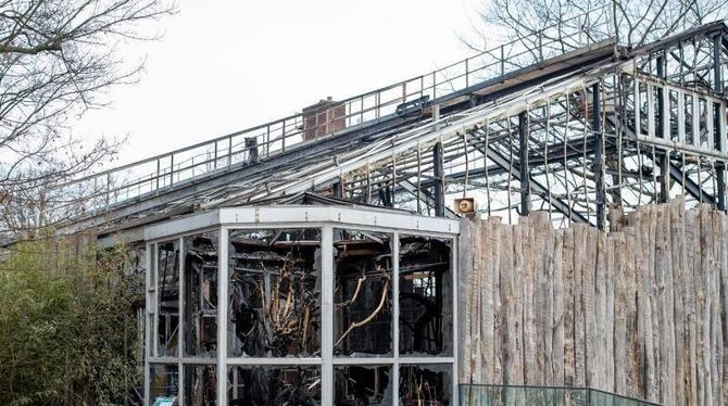 Nach dem Brand im Krefelder Zoo Nach dem Brand im Krefelder Zoo