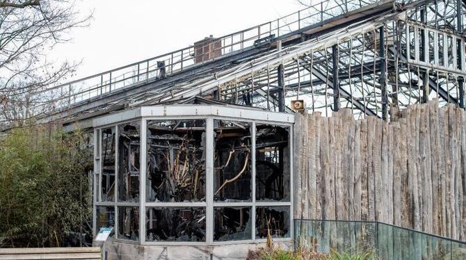 Nach dem Brand im Krefelder Zoo Nach dem Brand im Krefelder Zoo