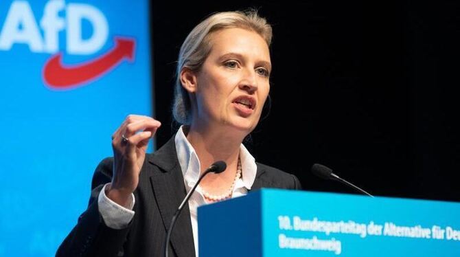 Alice Weidel Alice Weidel