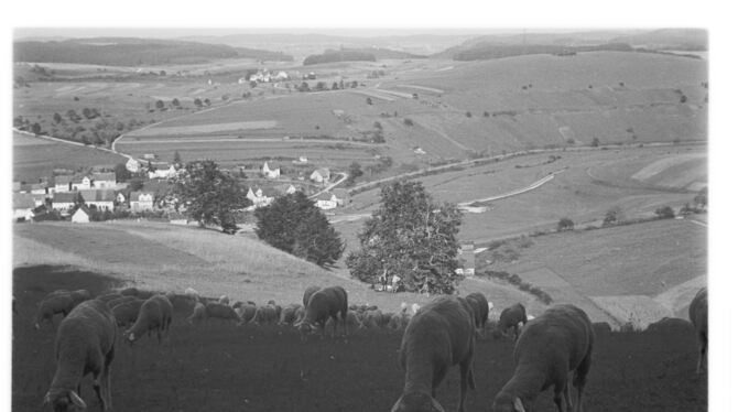 Blick vom Sternberg auf Steingebronn.