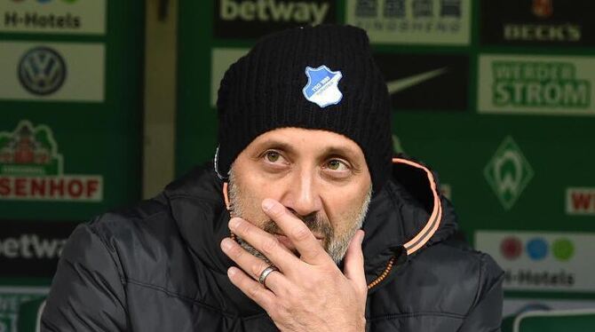 Pellegrino Matarazzo noch als Co-Trainer bei Hoffenheim