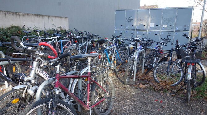 Der Radparkplatz an der Öschhalle ist bei Schülern und Pendlern gefragt.  FOTO: PFISTERER