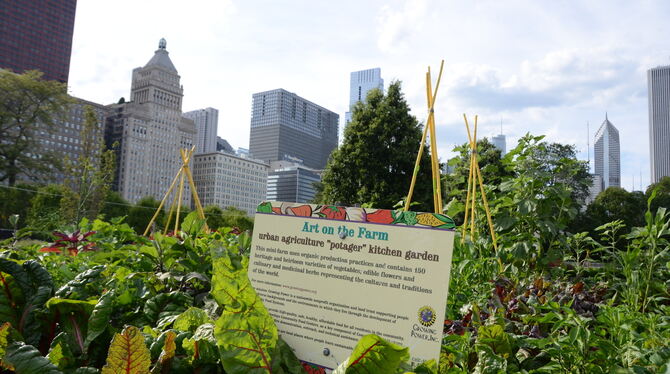 Muss ja nicht gleich Chicago sein, kann aber: öffentliche Gemüsebeete in der »Hauptstadt für Urban Farming«. FOTO: CONZELMANN