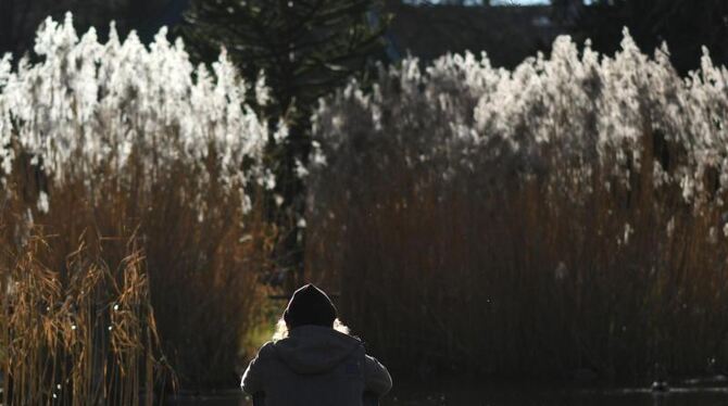 Frühling in Freiburg