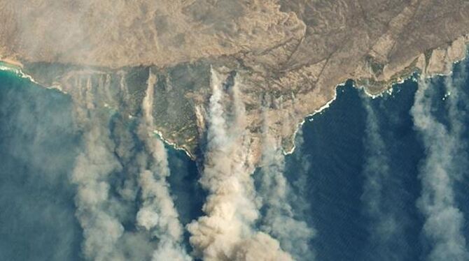 Buschbränden auf Känguru-Insel