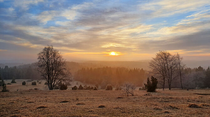Der Winter 2020 – im Gegensatz zum vergangenen Jahr ist von Schnee auch bei Gomadingen bisher keine Spur. FOTO: PULVERMÜLLER Der Winter 2020 – im Gegensatz zum vergangenen Jahr ist von Schnee auch bei Gomadingen bisher keine Spur. FOTO: PULVERMÜLLER
