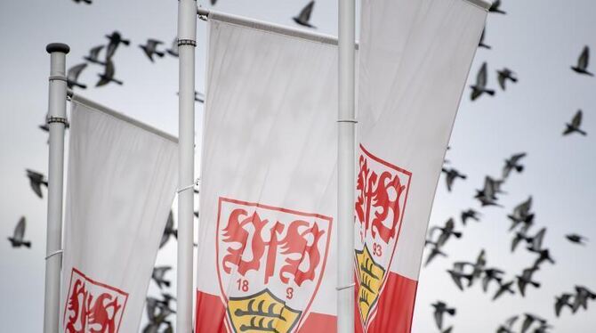 Vfb-Flaggen und Vögel