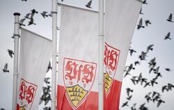 Vfb-Flaggen und Vögel