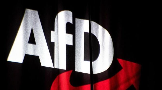 AfD Bundesparteitag