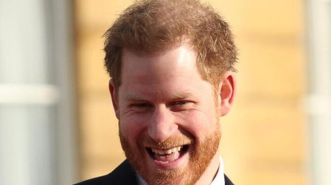 Prinz Harry Prinz Harry