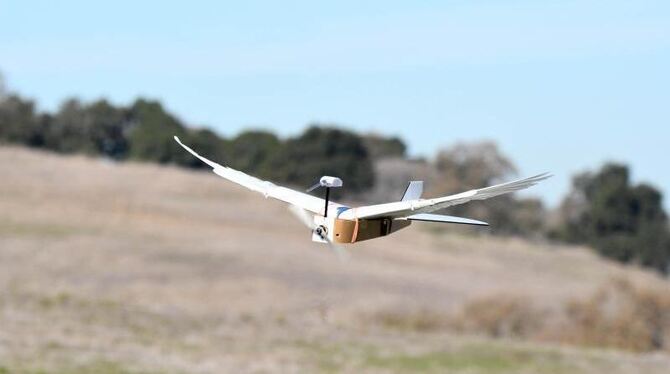 Roboter kann fliegen Roboter kann fliegen