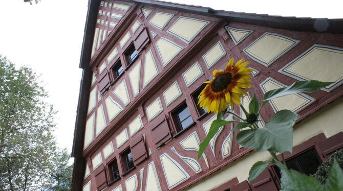 Die Besucherzahlen im Bauernhausmuseum in Ödenwaldstetten gehen weiter deutlich zurück. Die Gemeinde sammelt Ideen, wie das geän