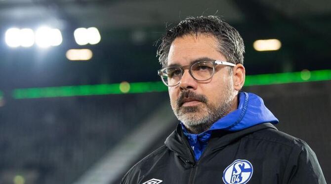 David Wagner David Wagner