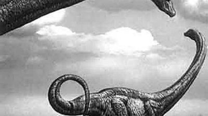 Viel Muskelmasse, wenig Gehirn.  FOTO: PR