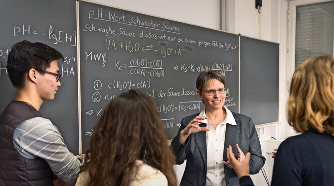 Barbara Schüpp-Niewa ist Dozentin am Mint-Kolleg und bringt Studierende in Chemie auf Trab. FOTO: UNIVERSITÄT STUTTGART