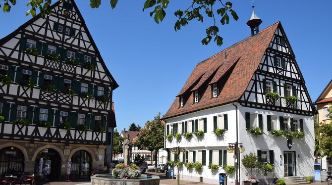 Schlechte Stimmung in den Pfullinger Rathäusern? Zumindest das Verhältnis zwischen dem Gemeinderat und Bürgermeister Michael Sch Schlechte Stimmung in den Pfullinger Rathäusern? Zumindest das Verhältnis zwischen dem Gemeinderat und Bürgermeister Michael Sch