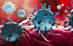 Coronavirus ILLUSTRATION: ADOBE STOCK