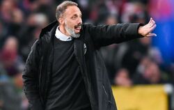 Trainer Pellegrino Matarazzo vom VfB Stuttgart gestikuliert