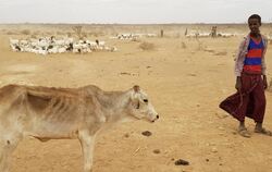 Dürre in Äthiopien