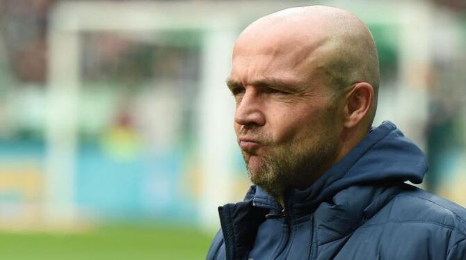 Hoffenheims Trainer Alfred Schreuder